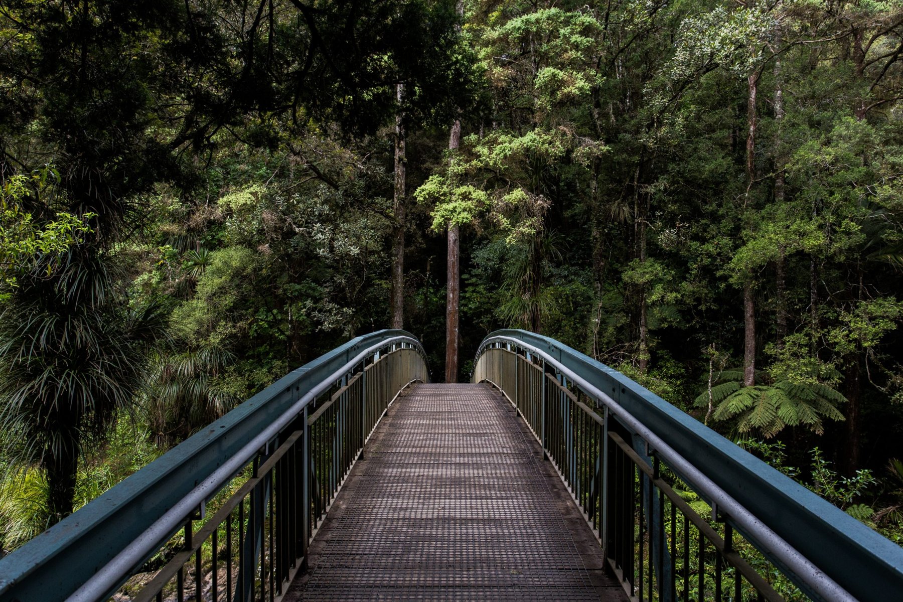 Waldlandschaft als Inspiration für unterwegs